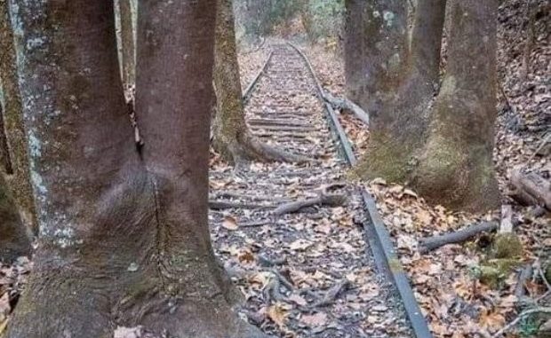 1269888