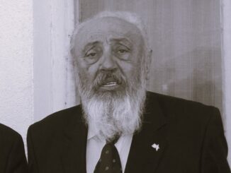 Пелин Пелинов