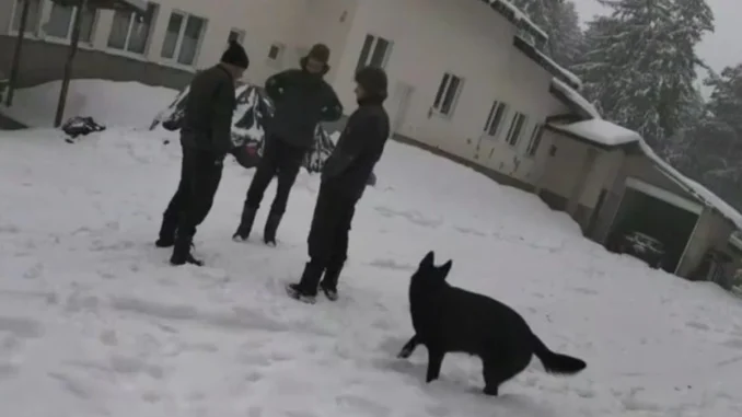 хижа Петрохан