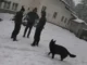 хижа Петрохан